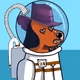 22