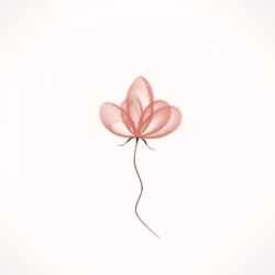 Translucent flower #12