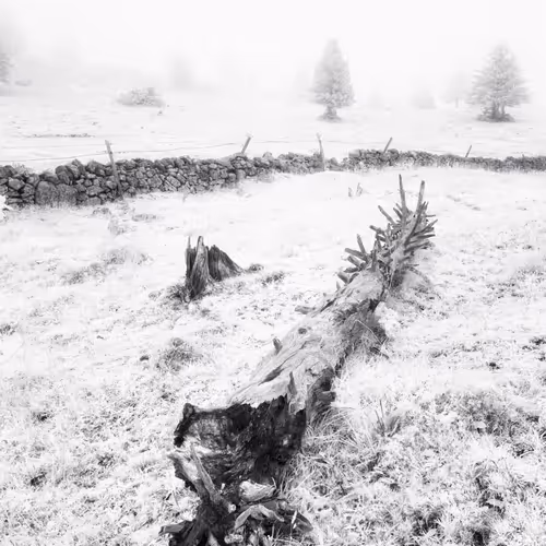 Ghosts Of Switzerland