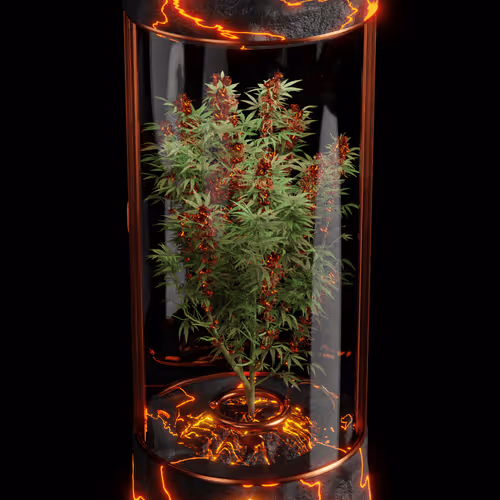 CryptoGrow #59