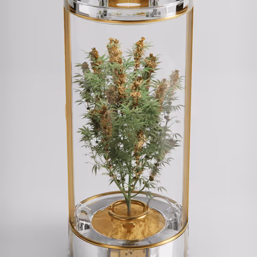 CryptoGrow #46