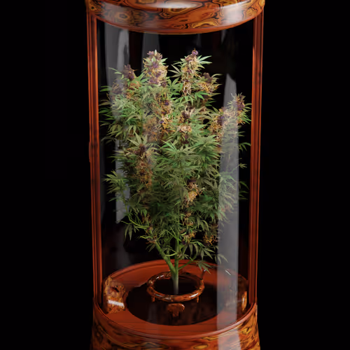 CryptoGrow #60