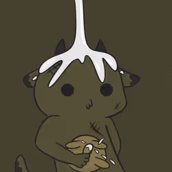 255