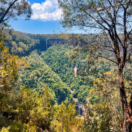 Wild Australia #20