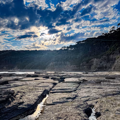 Wild Australia #18