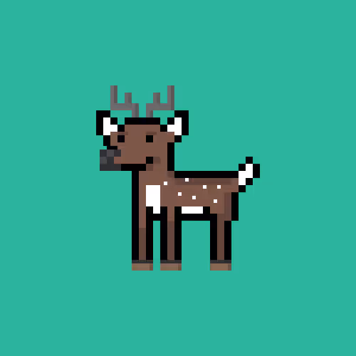 BIG BUCK #343