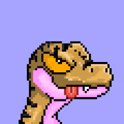 Raptor #9801