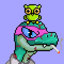 Raptor #3539