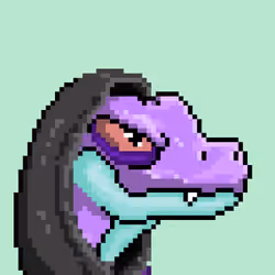 Raptor #8511