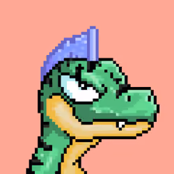 Raptor #1314