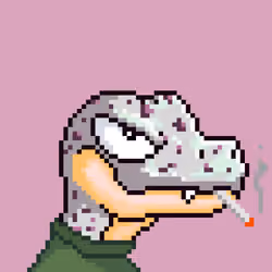Raptor #9901