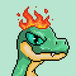 Raptor #103