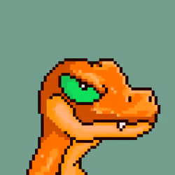 Raptor #8516