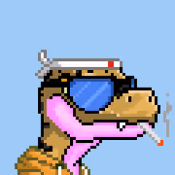 Raptor #3016