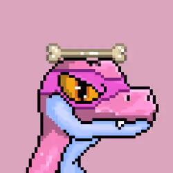 Raptor #4113