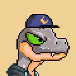 Raptor #5578