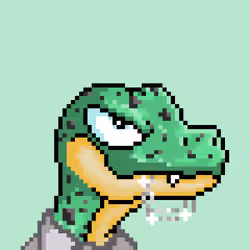 Raptor #2372