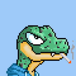 Raptor #2886