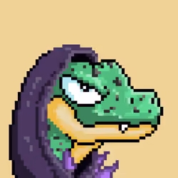 Raptor #5864