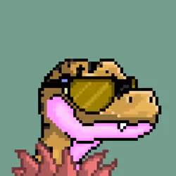 Raptor #2705