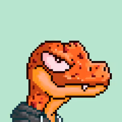 Raptor #9893