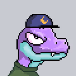 Raptor #1893