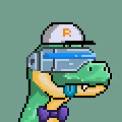 Raptor #3456