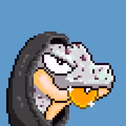 Raptor #1313