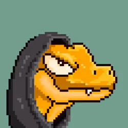 Raptor #900