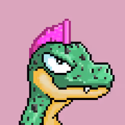 Raptor #3279