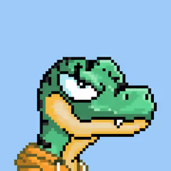 Raptor #3152