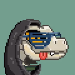 Raptor #1282