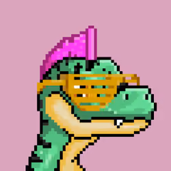 Raptor #2564