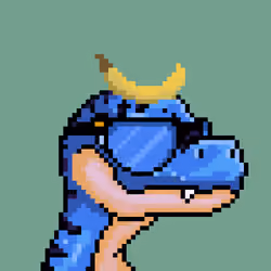 Raptor #2463
