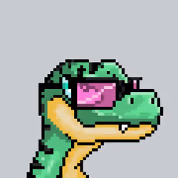 Raptor #6107