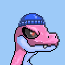 Raptor #2430