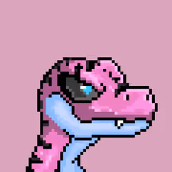 Raptor #7066