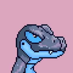 Raptor #7521