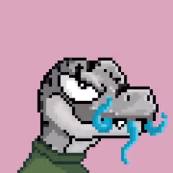 Raptor #6937