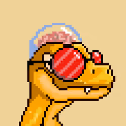Raptor #5049
