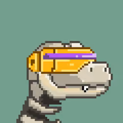 Raptor #2370