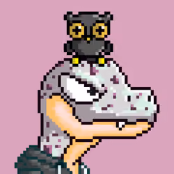 Raptor #3585