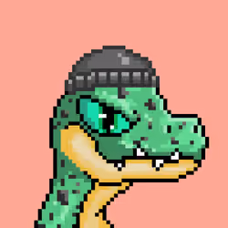 Raptor #7065