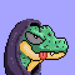 Raptor #2466