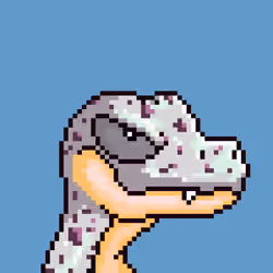 Raptor #4993