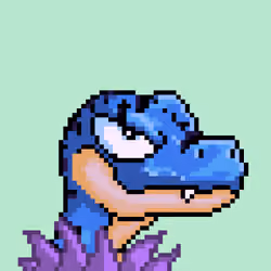Raptor #2237