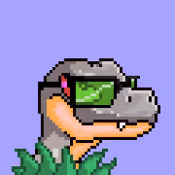 Raptor #2464