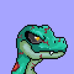 Raptor #2801