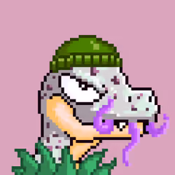 Raptor #4796