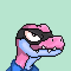 Raptor #3176
